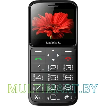 Мобильный телефон TeXet TM-B226 (черный)
